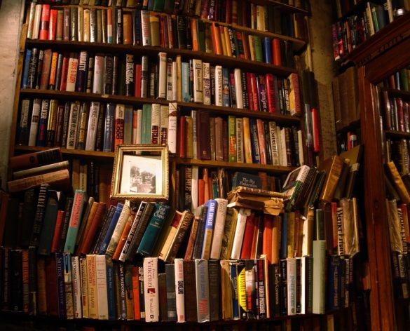 libreria piena di libri