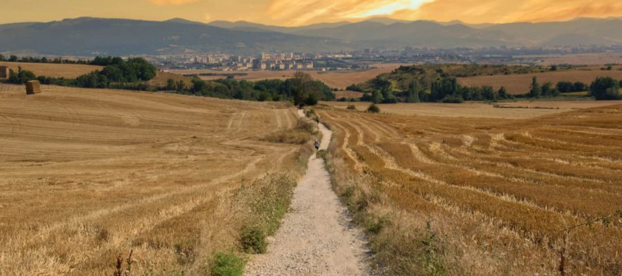 Cammino di Santiago in carrozzina