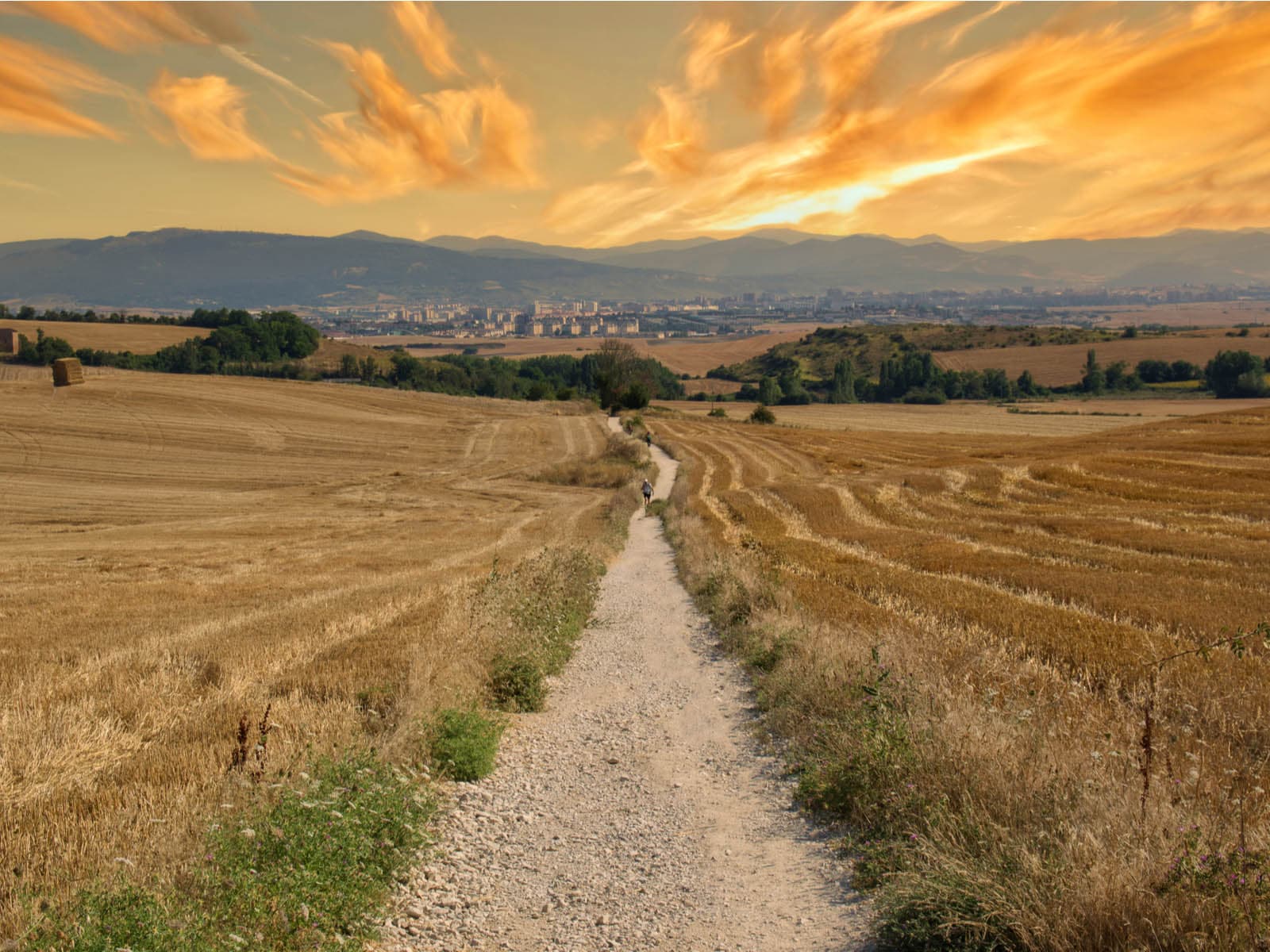 Quanto Costa Il Cammino Di Santiago Il cammino di Santiago in carrozzina: un'impresa storica - ARA