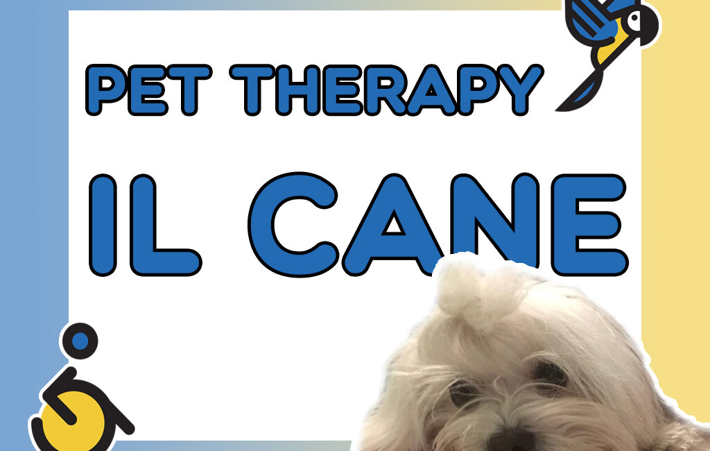 Pet therapy il cane
