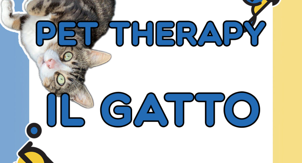 Pet therapy il gatto