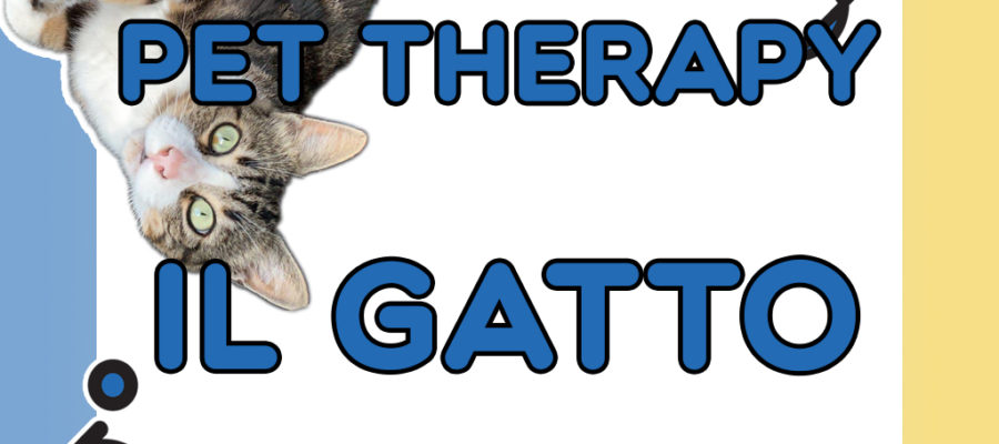 Pet therapy il gatto